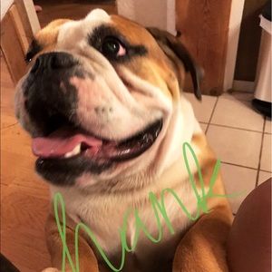 Meet your Posher, Karagen