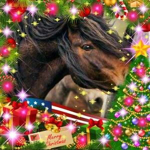 Meet your Posher, Lorraine