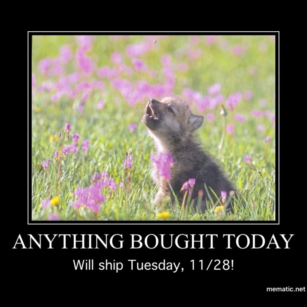 Shipping Update - image 1