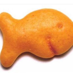 Meet your Posher, Joe