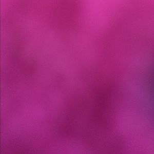 Meet your Posher, Zoey