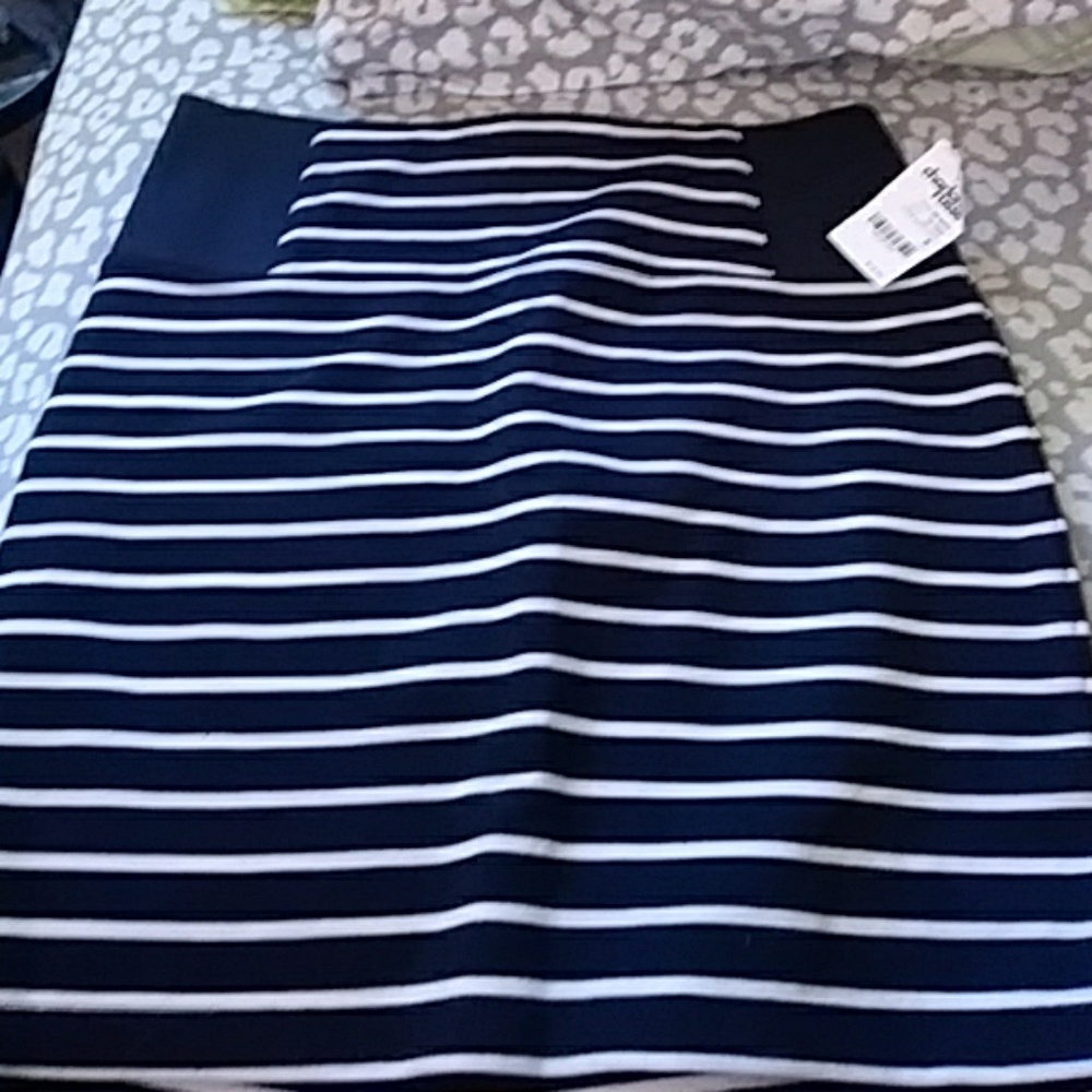 Charlotte russe skirt