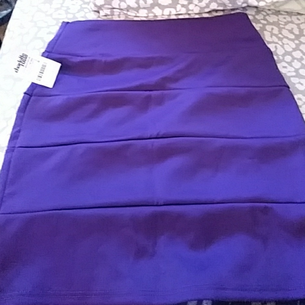 Charlotte russe skirt