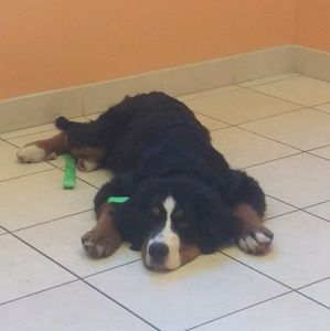 Meet your Posher, Dayna