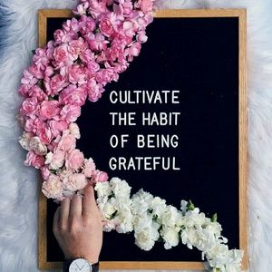 Meet your Posher, Nakona