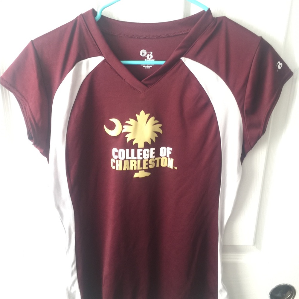 College of Charleston Athletic Volleyball Sport