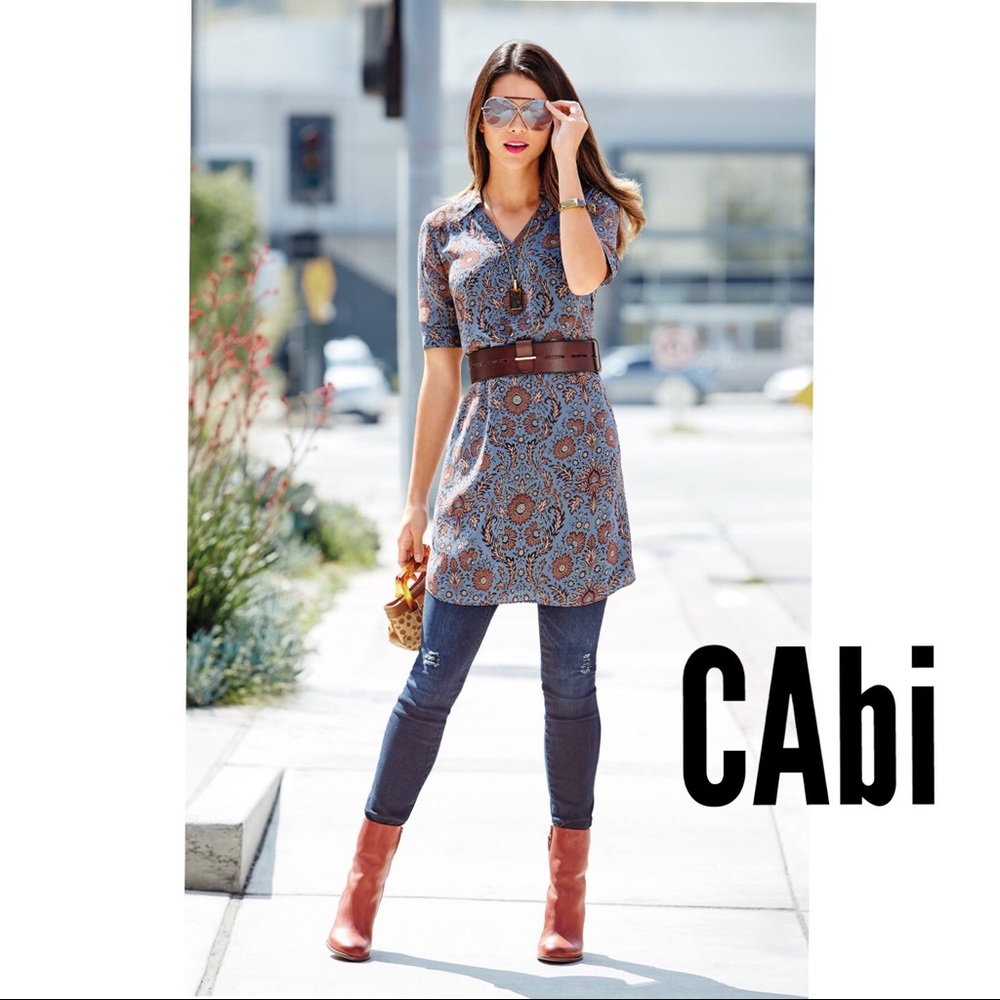 CAbi Provincial Dress