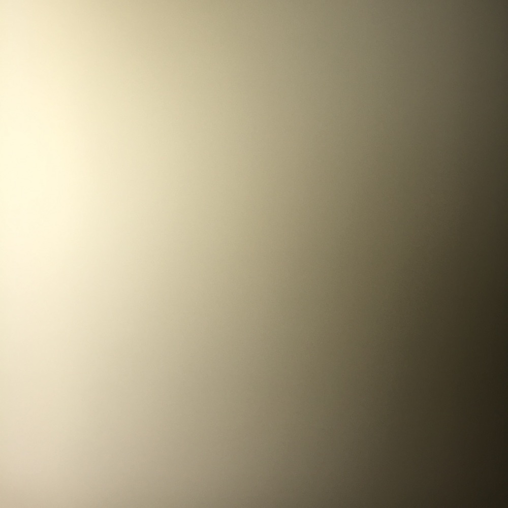 Meet your Posher, Ava