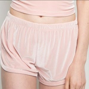 Pink Velvet Shorts