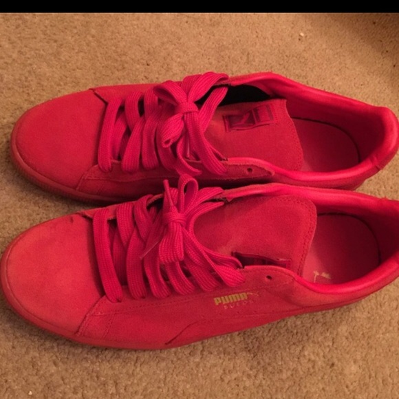 Pumas - Picture 1 of 1