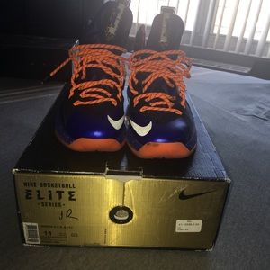 Nike Lebron X P.S Elite