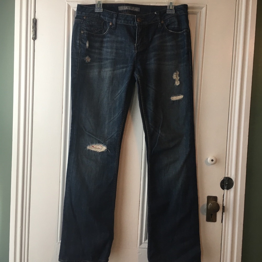 Anthropologie jeans - level 99
