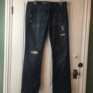 Anthropologie jeans - level 99