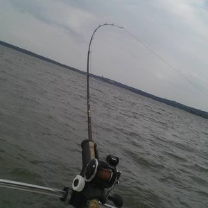 Meet your Posher, Dan