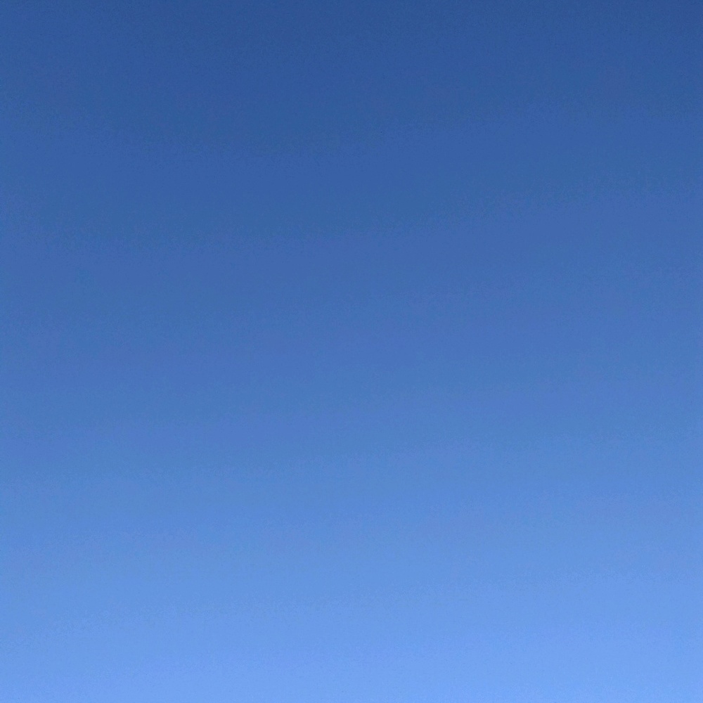 Meet your Posher, Leroy