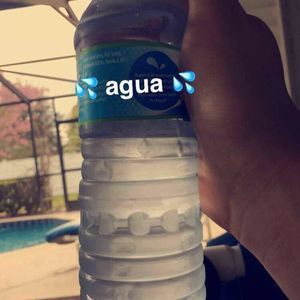 Meet your Posher, Eddie