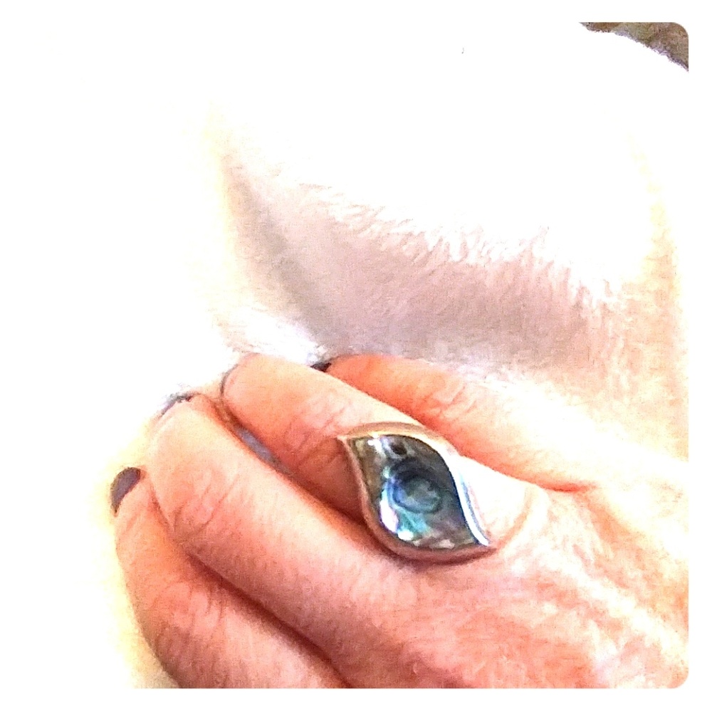 Abalone ss ring