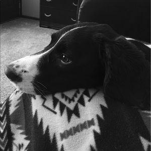 Meet your Posher, Rachel