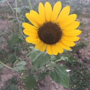 Meet your Posher, Jan