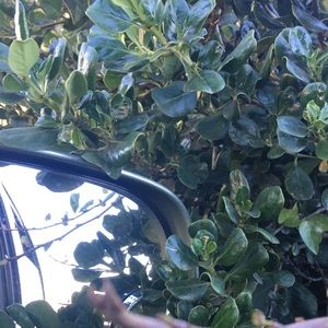 Meet your Posher, Leslie