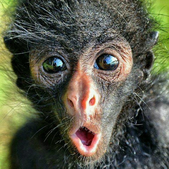 Meet your Posher, Linda - Picture 1 of 1