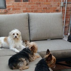 Meet your Posher, Teri