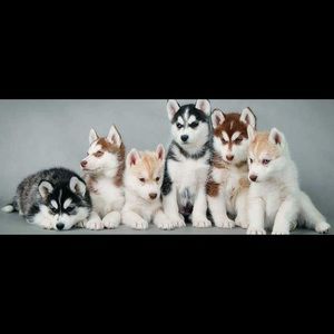 Meet your Posher, Jocelyn