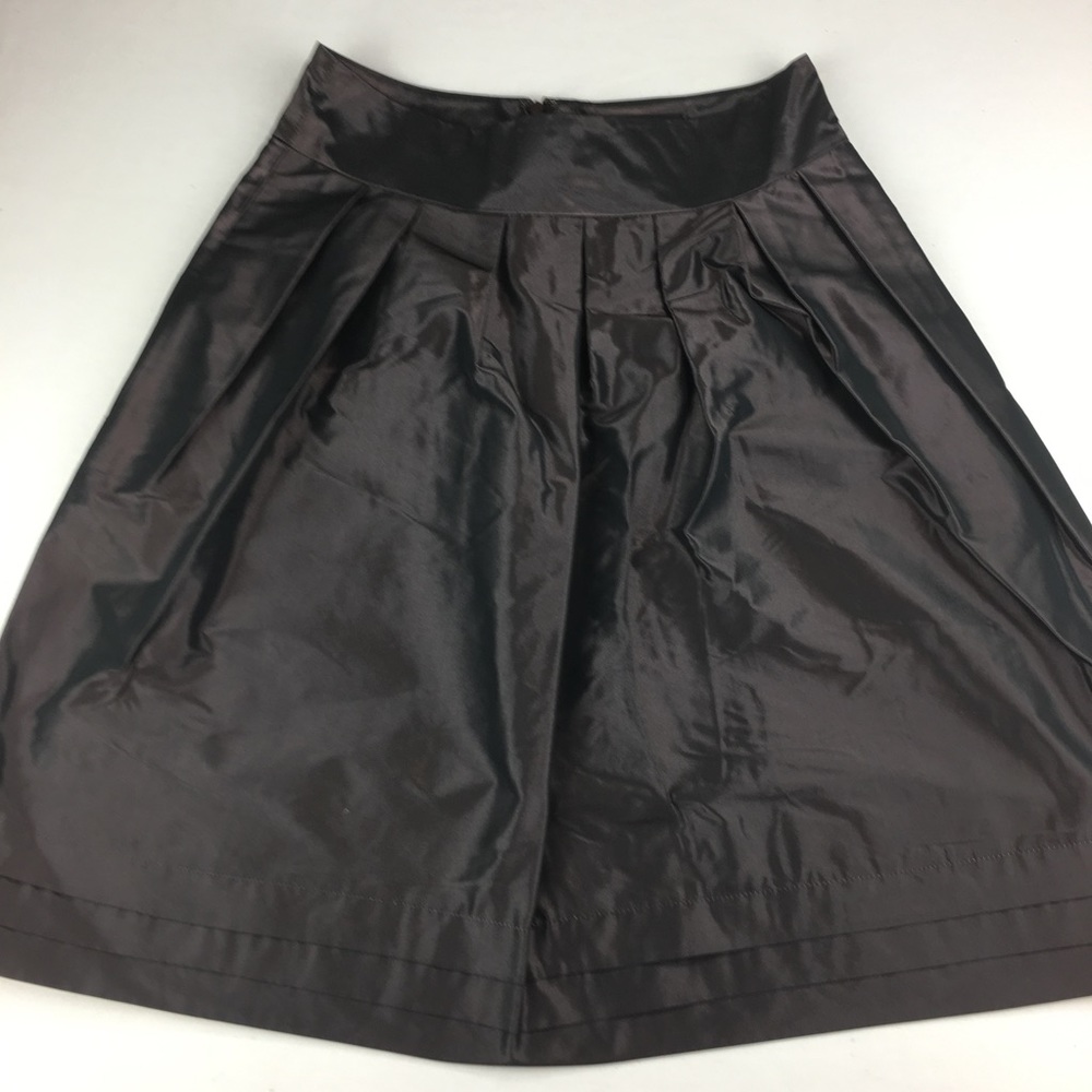 Banana Republic Skirt Iridescent  Pleated Sz 2