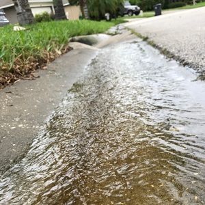 Meet your Posher, Cheyenne