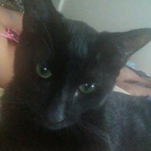 Meet your Posher, Tyeast