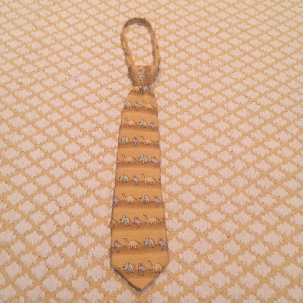 Kid's Dinosaur Tie