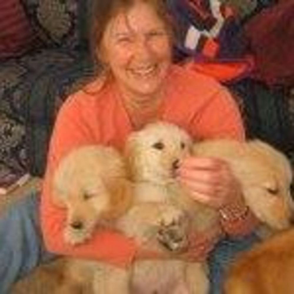 Meet your Posher, Judy