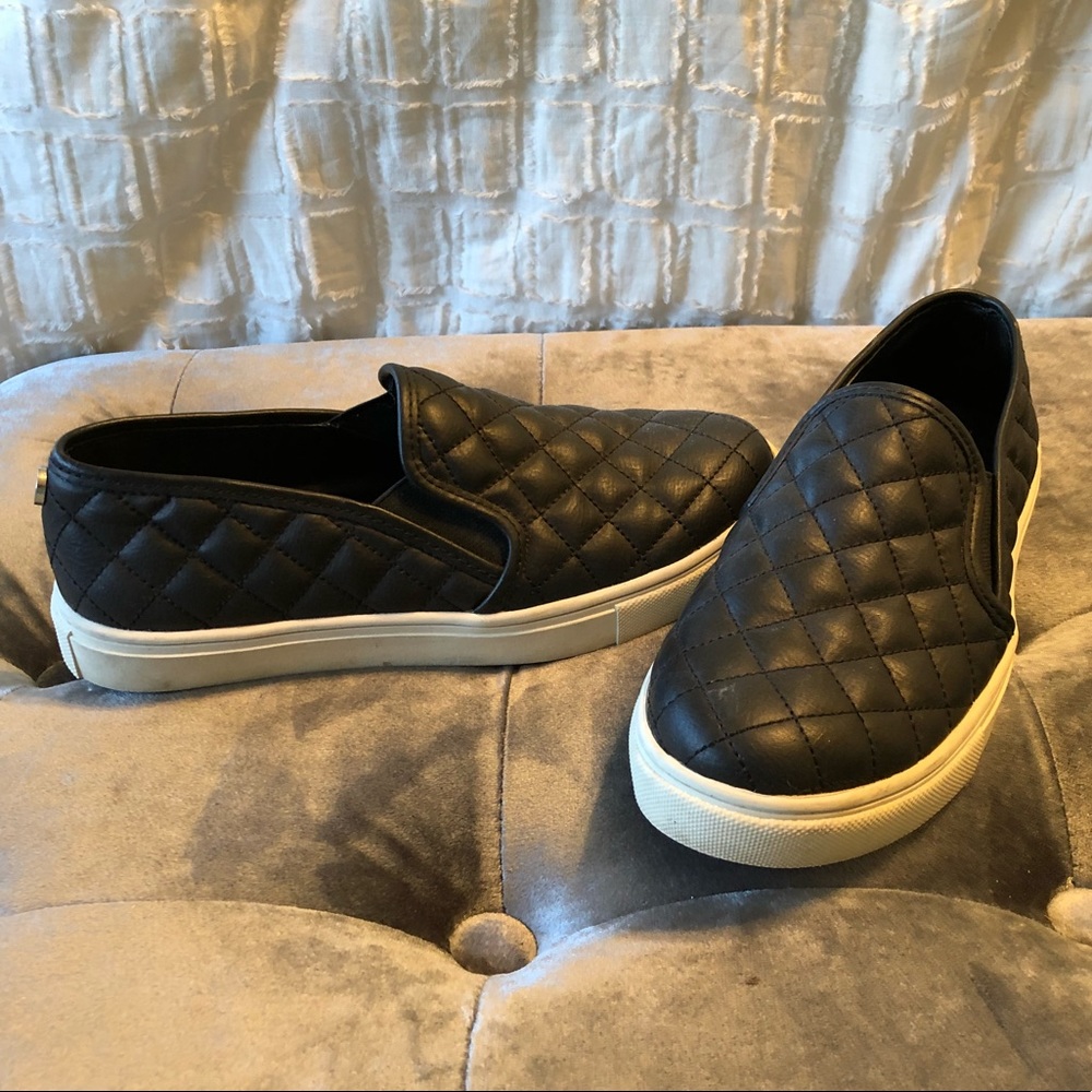 Steve Madden ECENTRCQ sneakers