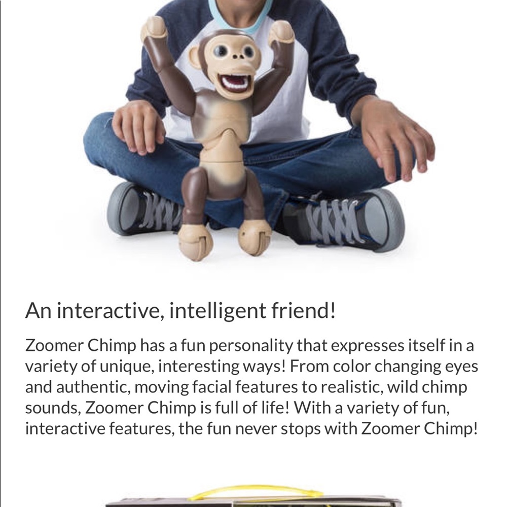 Zoomer Chimp