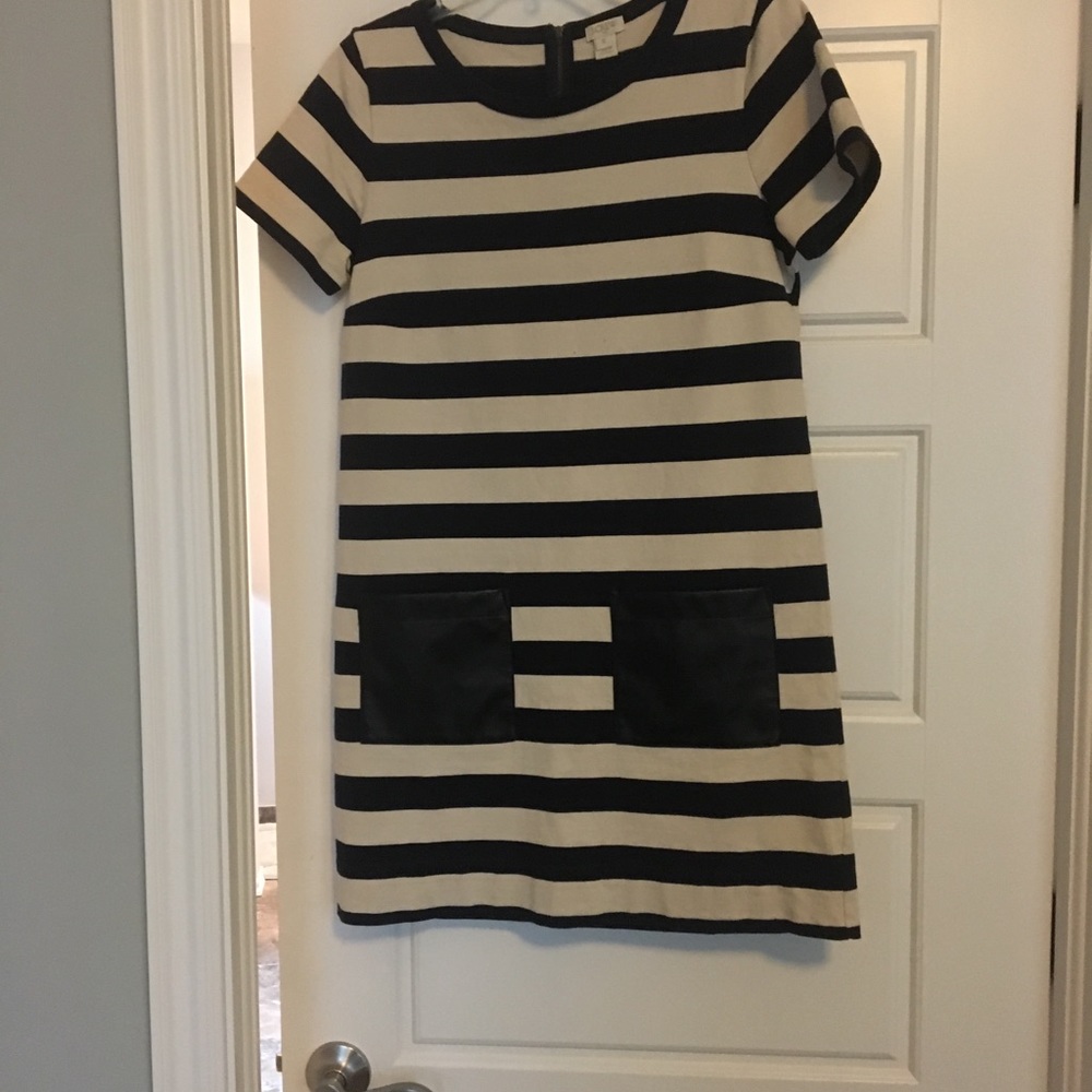 J Crew dress
