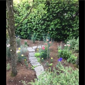 Meet your Posher, Carolyn