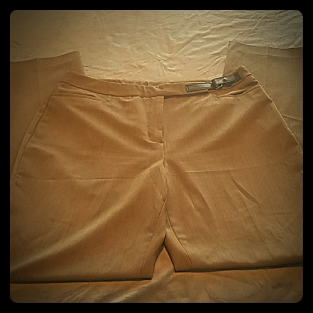 Cato beige pants