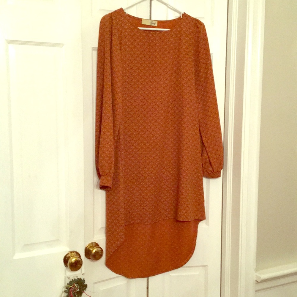 Perfect FALL 🍂 High Low long sleeved dress