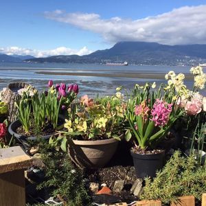 Meet your Posher, Christie