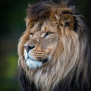 Meet your Posher, Janet