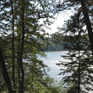 Meet your Posher, Savanna