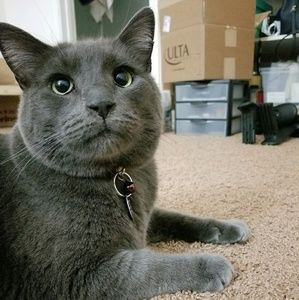 Meet your Posher, Cecilia