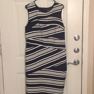 Adrianna Papell Navy and Cream Dress