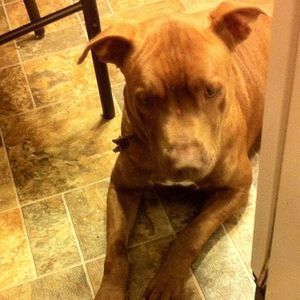 Meet your Posher, Cherie