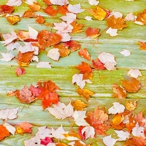 Meet your Posher, Aimee