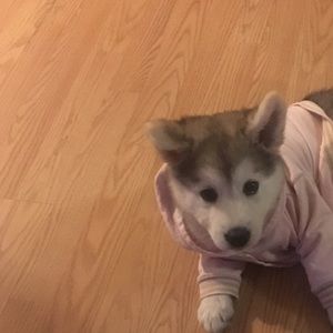 Meet your Posher, Marjorie