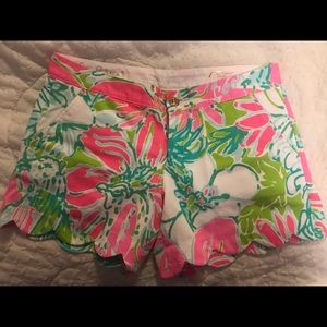Lilly buttercup shorts! 💓