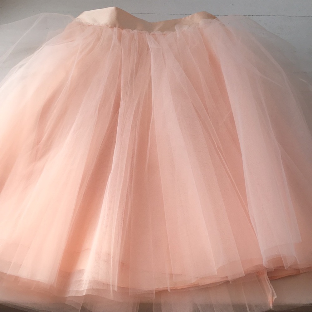 Space 46 Tulle Skirt - Blush 22 inches
