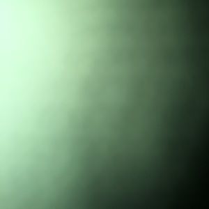 Meet your Posher, Raegan