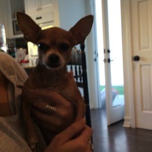 Meet your Posher, Berit